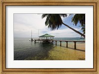 Framed Seychelles, Anse Bois de Rose, Coco de Mer, Resort