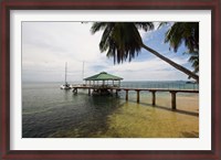 Framed Seychelles, Anse Bois de Rose, Coco de Mer, Resort