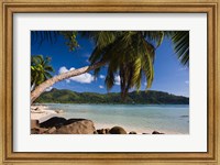 Framed Seychelles, Mahe Island, Anse a la Mouche