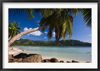 Framed Seychelles, Mahe Island, Anse a la Mouche