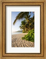Framed Seychelles, Mahe Island, Anse Marie-Louise, dawn