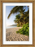 Framed Seychelles, Mahe Island, Anse Marie-Louise, dawn
