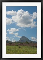 Framed Sugar Cane Fields, Mauritius