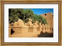 Framed Sphinxes, Temple of Karnak, Temple of Luxor, Avenue of Sphinxes, Luxor, Egypt