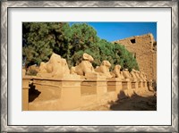 Framed Sphinxes, Temple of Karnak, Temple of Luxor, Avenue of Sphinxes, Luxor, Egypt