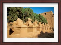 Framed Sphinxes, Temple of Karnak, Temple of Luxor, Avenue of Sphinxes, Luxor, Egypt