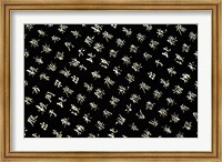 Framed Traditional Chinese Characters, China