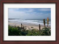 Framed Stretches of Beach, Jeffrey's Bay, South Africa