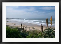 Framed Stretches of Beach, Jeffrey's Bay, South Africa