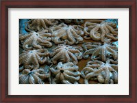 Framed Tanzania, Zanzibar, StoneTown, Darajani Market, Octopus