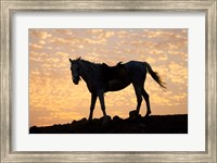 Framed Sunrise and Silhouette of Horse and rider on the Giza Plateau, Cairo, Egypt