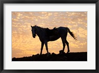 Framed Sunrise and Silhouette of Horse and rider on the Giza Plateau, Cairo, Egypt