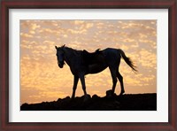 Framed Sunrise and Silhouette of Horse and rider on the Giza Plateau, Cairo, Egypt