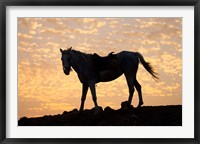 Framed Sunrise and Silhouette of Horse and rider on the Giza Plateau, Cairo, Egypt
