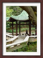 Framed Tai Chi Chuan in the Chinese Garden Pavilion at Kowloon Park, Hong Kong, China