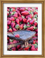 Framed Strawberries for sale in Fes medina, Morocco