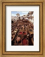 Framed Tannery Vats in the Medina, Fes, Morocco