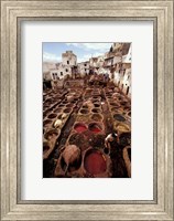 Framed Tannery Vats in the Medina, Fes, Morocco