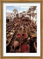 Framed Tannery Vats in the Medina, Fes, Morocco