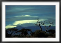 Framed Summit of Mount Kilimanjaro, Amboseli National Park, Kenya
