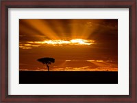 Framed Sunrise, Maasai Mara, Kenya