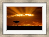 Framed Sunrise, Maasai Mara, Kenya