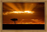 Framed Sunrise, Maasai Mara, Kenya