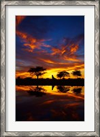 Framed Sunrise, Okaukuejo Rest Camp, Etosha National Park, Namibia