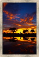 Framed Sunrise, Okaukuejo Rest Camp, Etosha National Park, Namibia