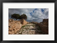 Framed Tunisia, Carthage, Roman Villas, Ancient Architecture