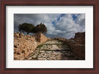 Framed Tunisia, Carthage, Roman Villas, Ancient Architecture