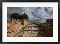 Framed Tunisia, Carthage, Roman Villas, Ancient Architecture