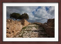 Framed Tunisia, Carthage, Roman Villas, Ancient Architecture