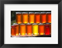 Framed Tunisia, Nefza, local honey, agriculture