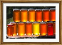Framed Tunisia, Nefza, local honey, agriculture