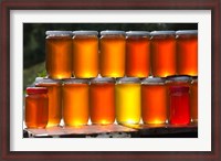 Framed Tunisia, Nefza, local honey, agriculture