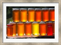 Framed Tunisia, Nefza, local honey, agriculture