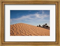 Framed Great Dune, Tunisia