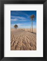 Framed Great Dune and Palm Trees, Tunisia