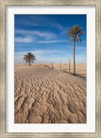 Framed Great Dune and Palm Trees, Tunisia