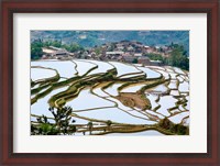 Framed Village Beside Flooded Jiayin Terraces, Honghe County, Yunnan, China