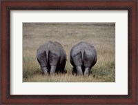 Framed White Rhinos in Lake Nakuru National Park, Kenya