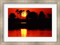 Framed Tropical Sunset in North Central Botswana