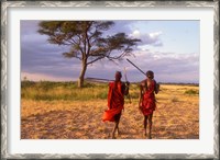 Framed Two Maasai Morans Walking with Spears at Sunset, Amboseli National Park, Kenya