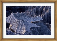 Framed Tsingy Rock Formations, Madagascar