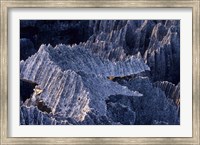 Framed Tsingy Rock Formations, Madagascar