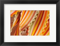 Framed USA. Close-up of dried rainbow pasta noodles