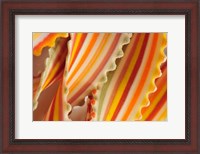 Framed USA. Close-up of dried rainbow pasta noodles