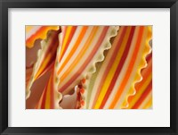 Framed USA. Close-up of dried rainbow pasta noodles