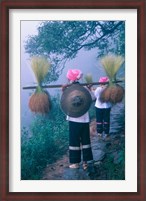 Framed Zhuang Girls Carrying Hay, China